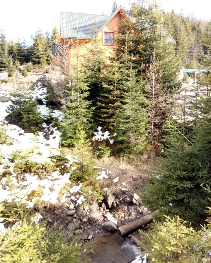 Wooddream Hotel Volovets Exterior photo